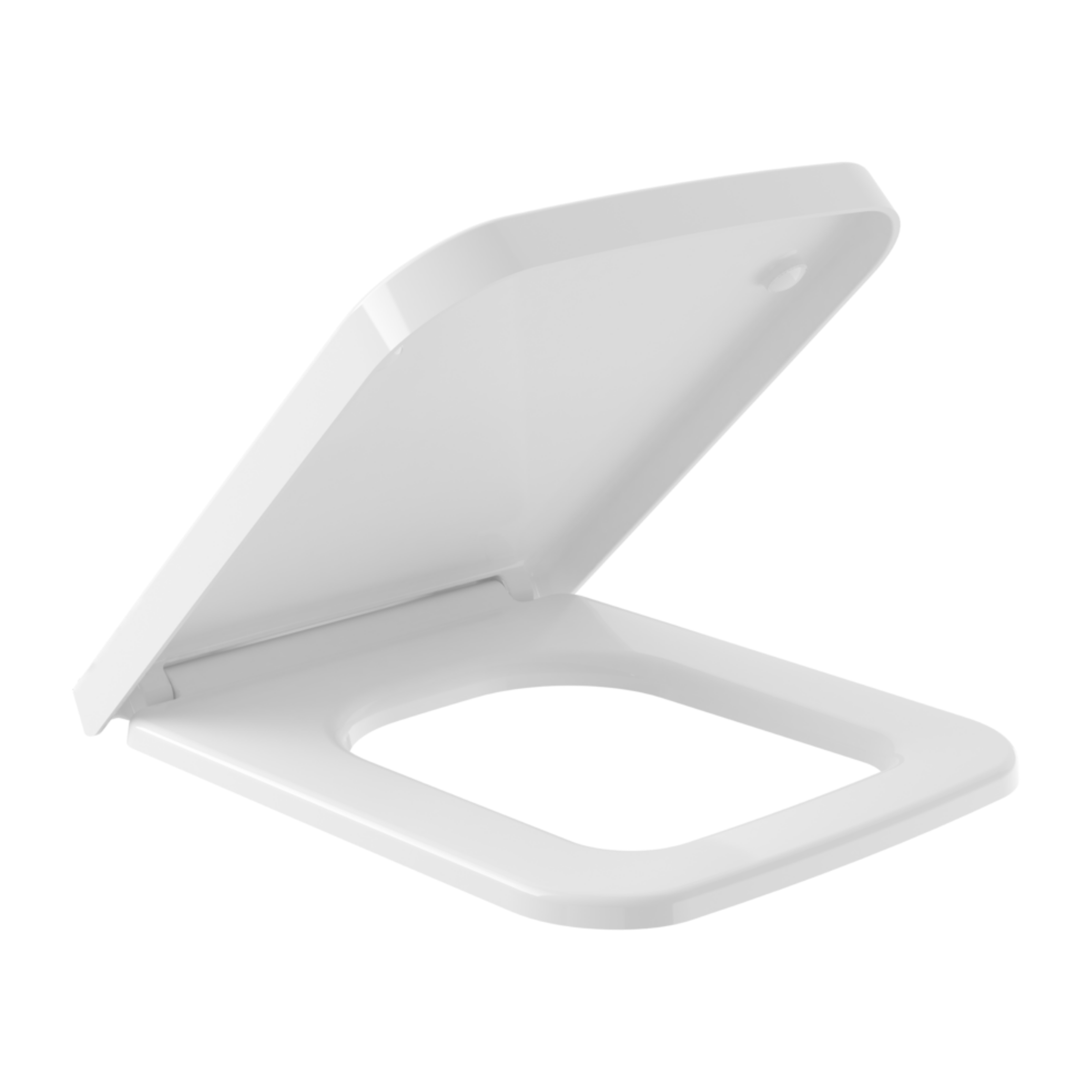 FINION WC SEAT & COVER